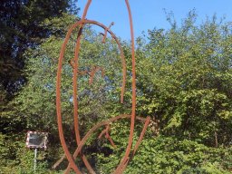 Furrer Markus - Corona muralis 2015